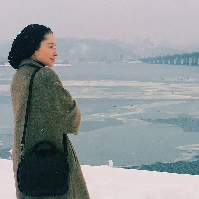 дружина Ларсона