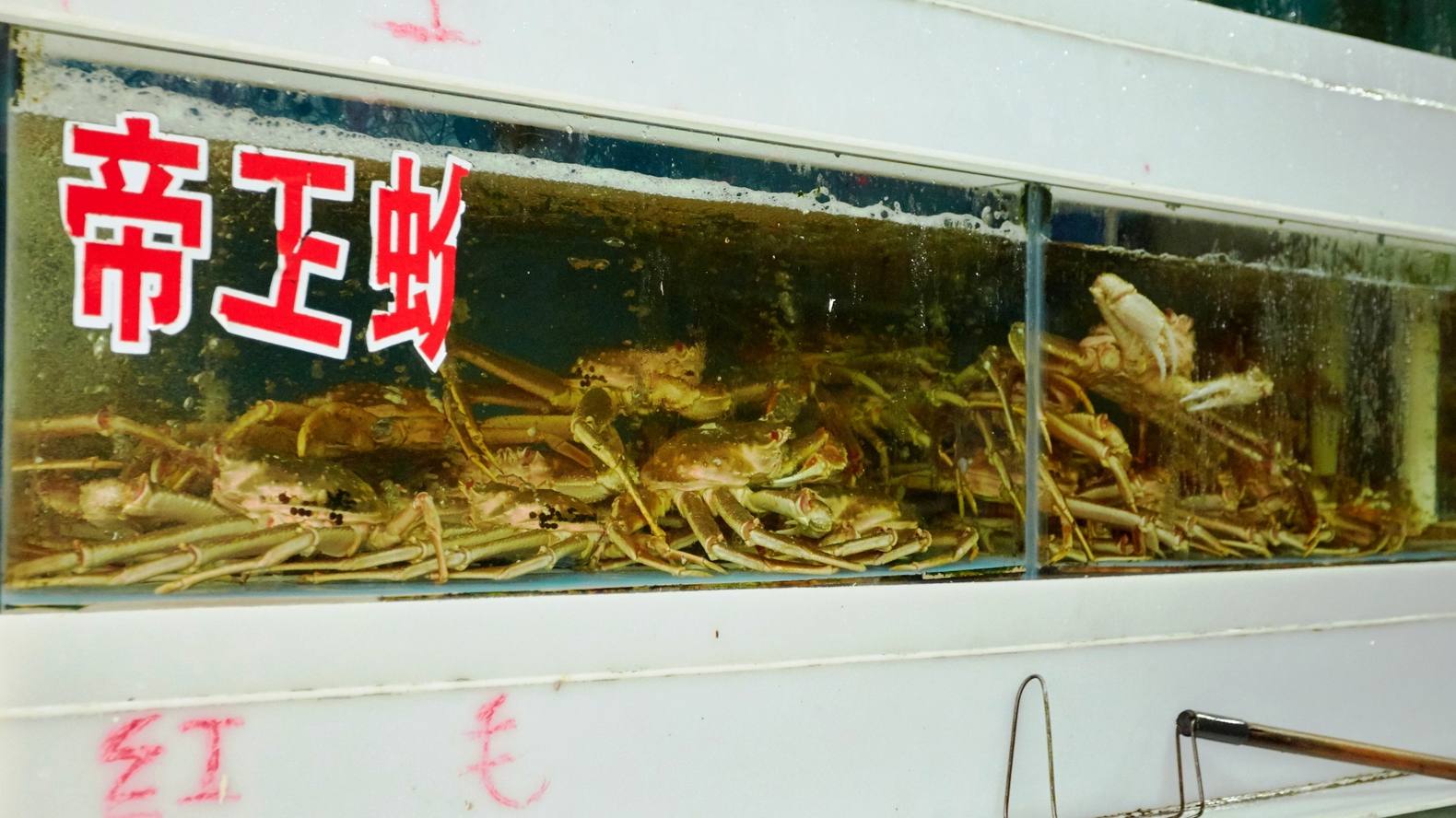 Інший Всесвіт очима популярного фотографа Андрія Саримсакова. Шанхай