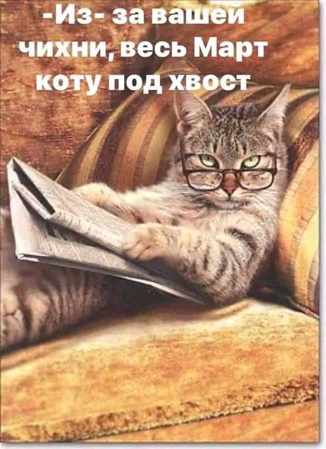 Коронавирус. Март коту под хвост