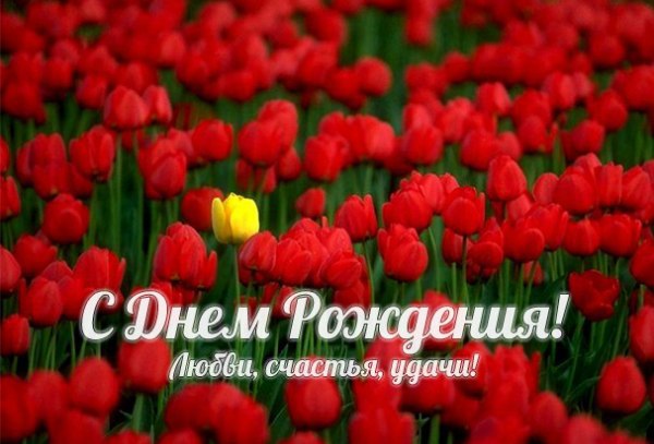 Єдиною і неповторною - з Днем народження