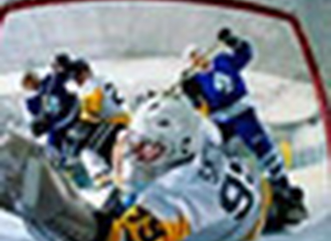 Выступление в плей-офф НХЛ