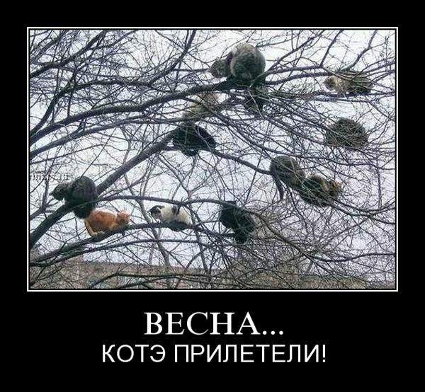 Весенние демотиваторы