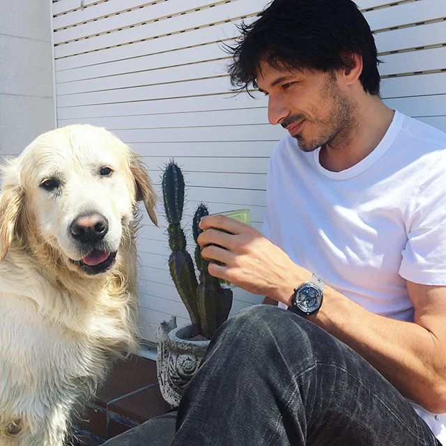 Андрес Веленкосо