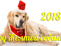 Год желтой собаки 2018
