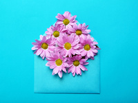 Нежные обои к 8 марта