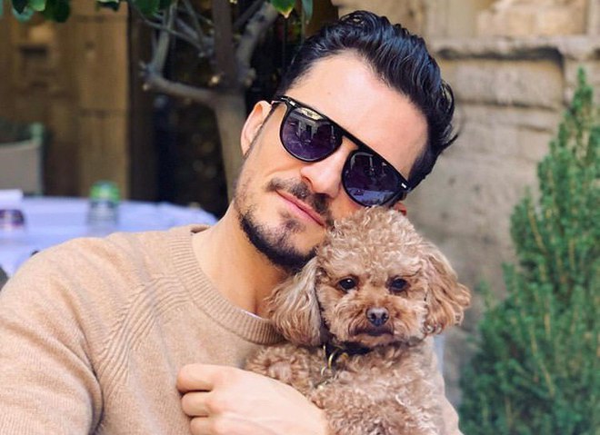 Орландо Блум потерял любимого пса Майти