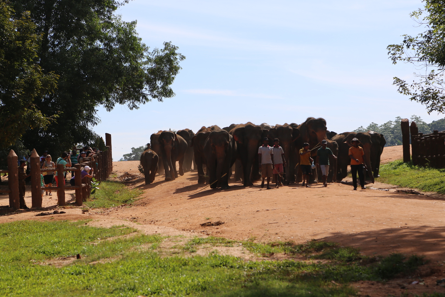 Дмитрий Каднай о Шри-Ланке: все, что вы не прочитаете в путеводителе об острове