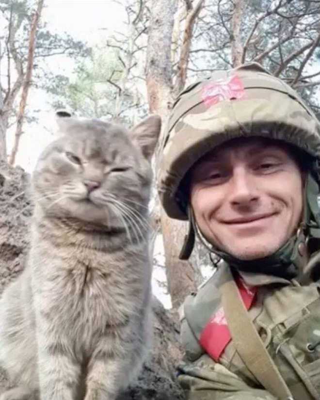 Украинские войны с животными