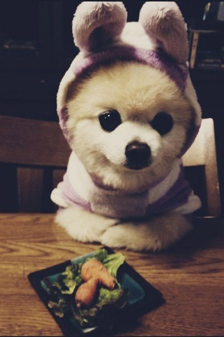 Самая милая няшка