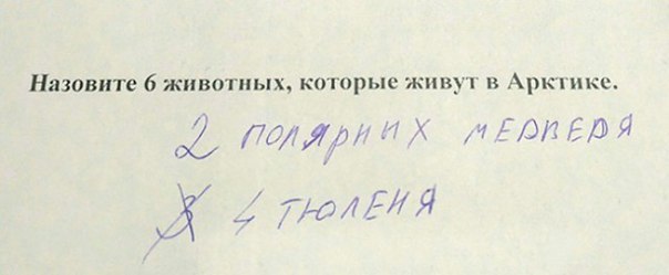 Перлы от школьников