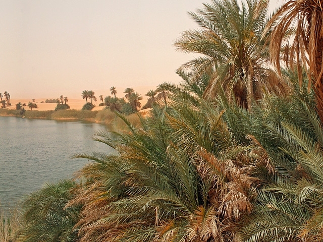 Ubari Oasis, Libya