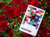 Главные цвета 2021 по версии Института цвета Pantone