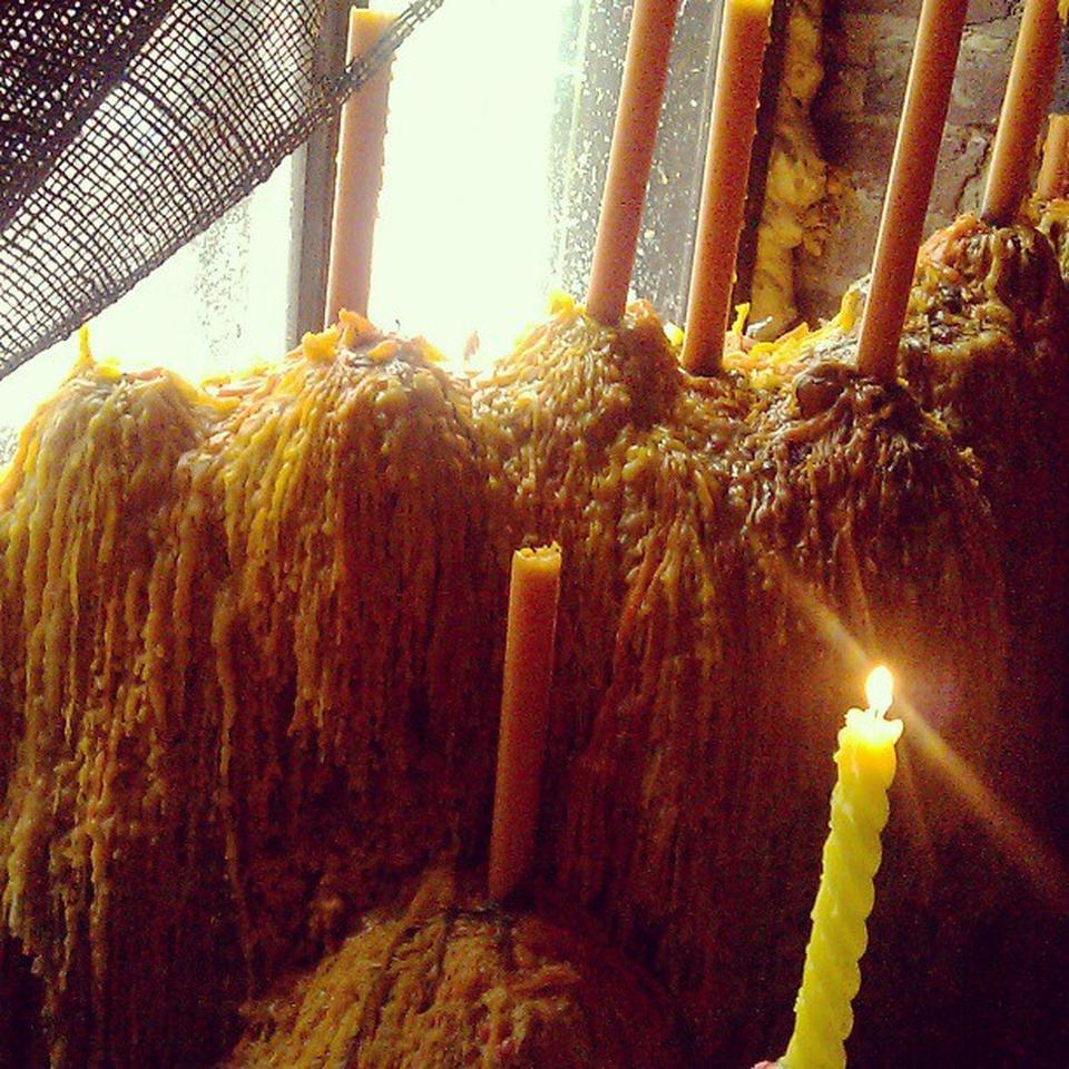 Рестораны Львова: Крива Липа