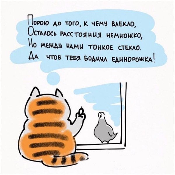 Типичные будни котов