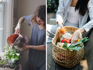 Як виростити овочі на балконі