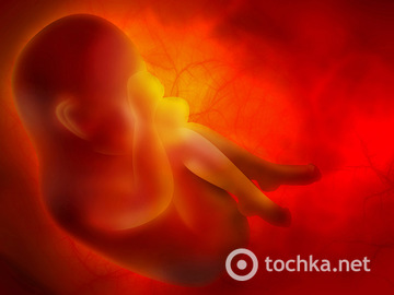 Как происходит зачатие ребенка