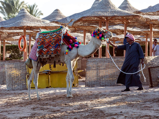 Єгипет, готель Jaz Makadina