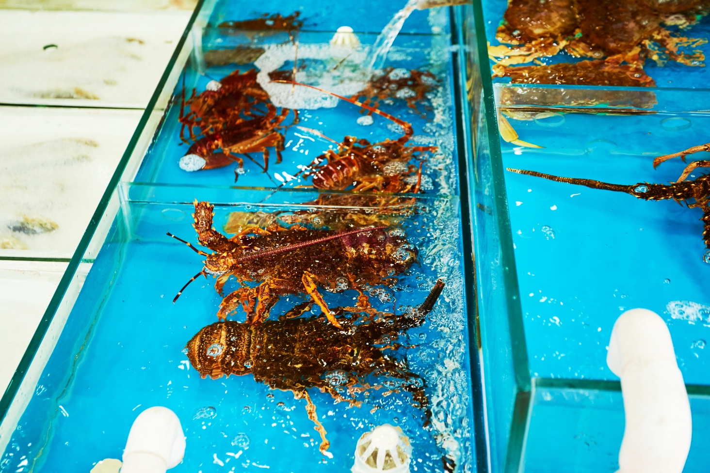 Інший Всесвіт очима популярного фотографа Андрія Саримсакова. Шанхай