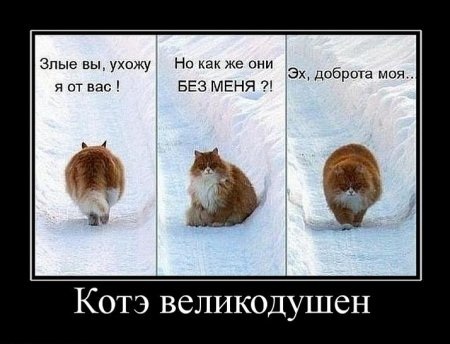 Подборка демотиваторов