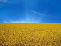 Природный флаг Украины