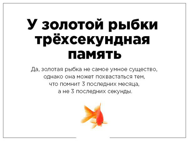 Разрушители мифов