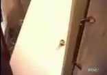 прибило дверима