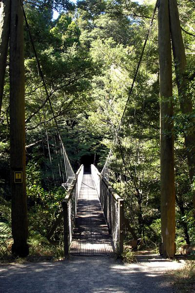 Мост Пелорус