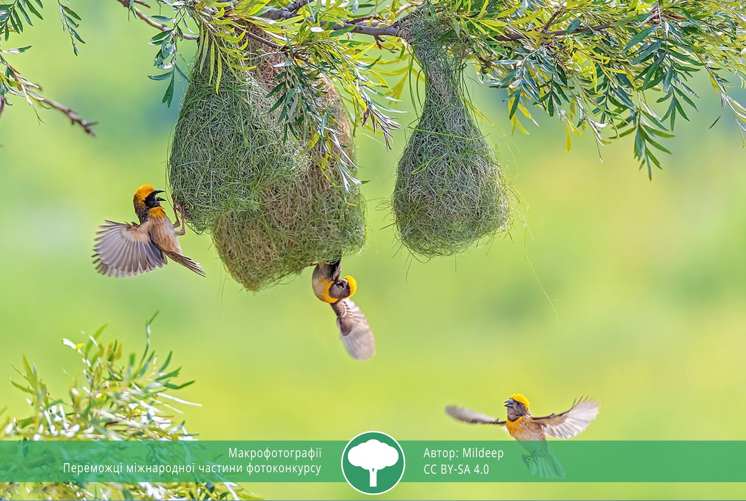 найкращі фото природи 2021