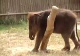 Хотел всего лишь почесаться)