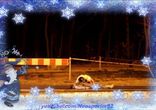 Лучшие приколы из жизни  46 - Новогодний выпуск