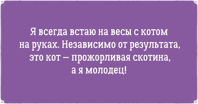 ТОП 10 приколов про котов