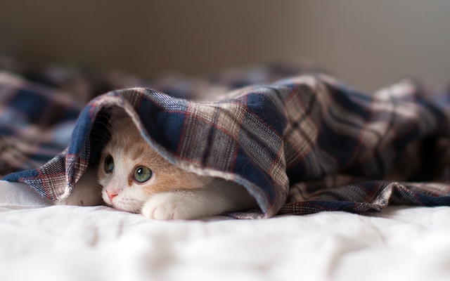 Совсем встравать не хочется