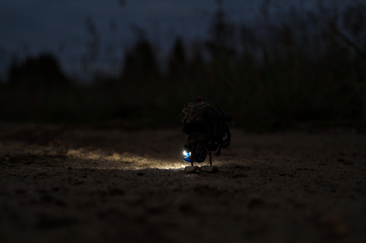 #ПутешествиеСосновойШишки часть 3