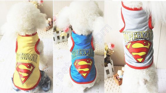 Одежда для собак