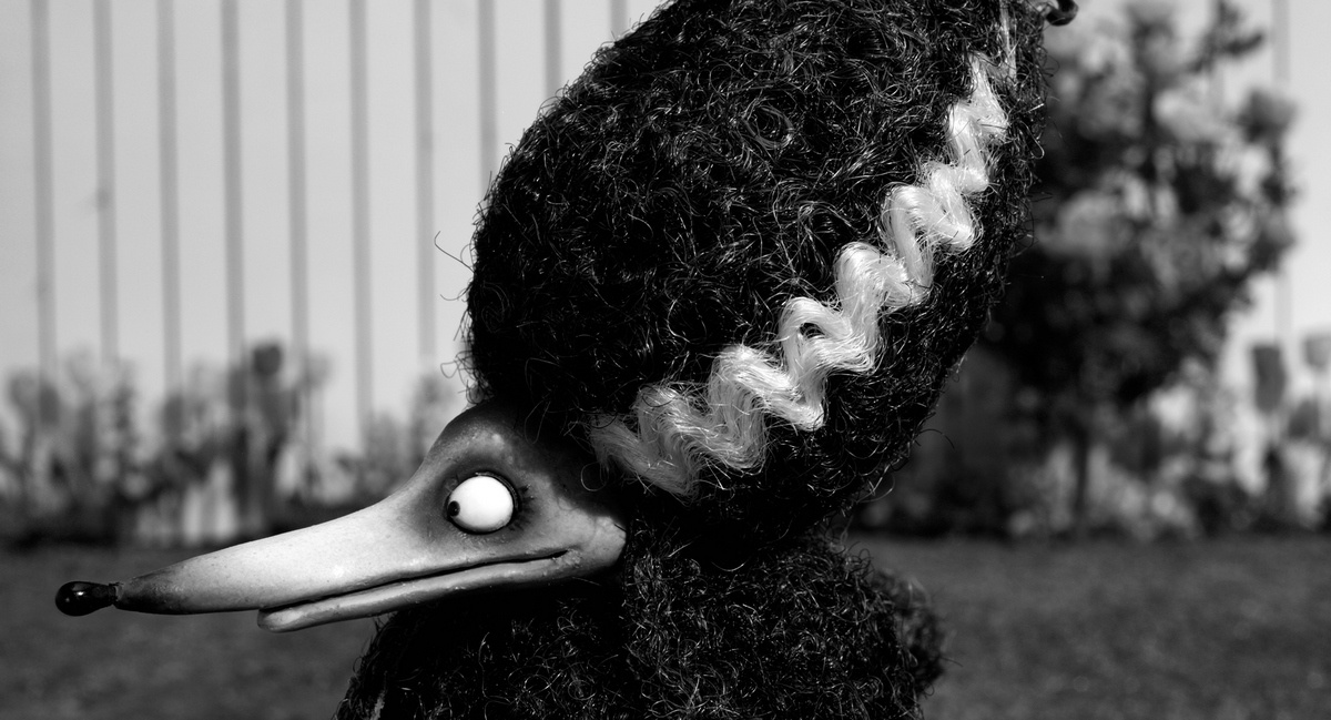 Франкенвини