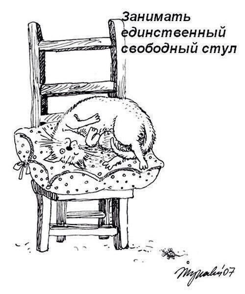 Что обожают делать коты