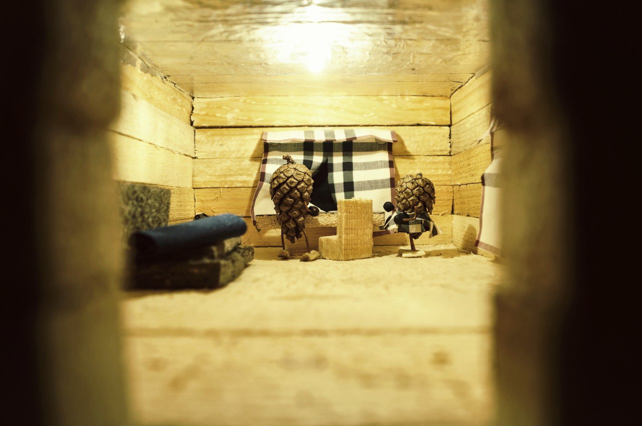 #ПриключениеСосновойШишки часть 9