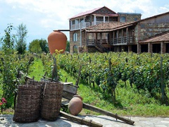 У ботанічному саду з’являться 12 регіонів Грузії