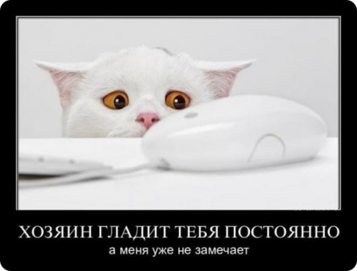 Убойные демотиваторы