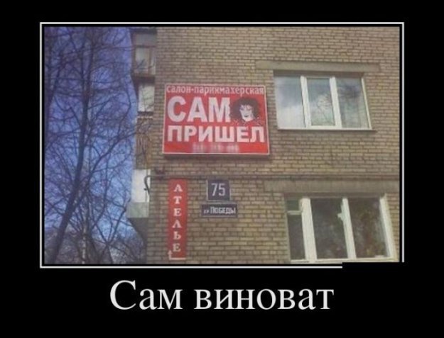 ТОП лучших демотиваторов