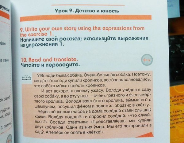 Учебник русского языка для иностранцев.
