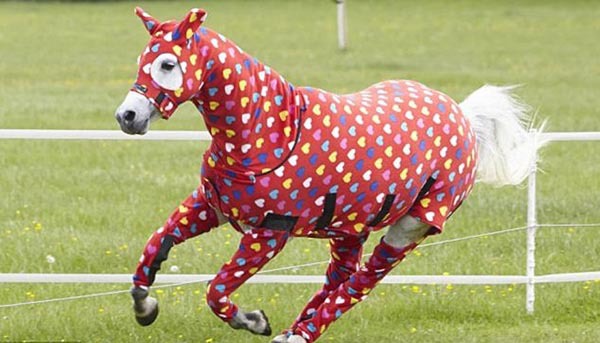 Смешные лошадки в пижамах