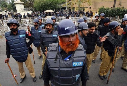 Веселая жизнь