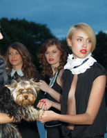 rexona party rexona party