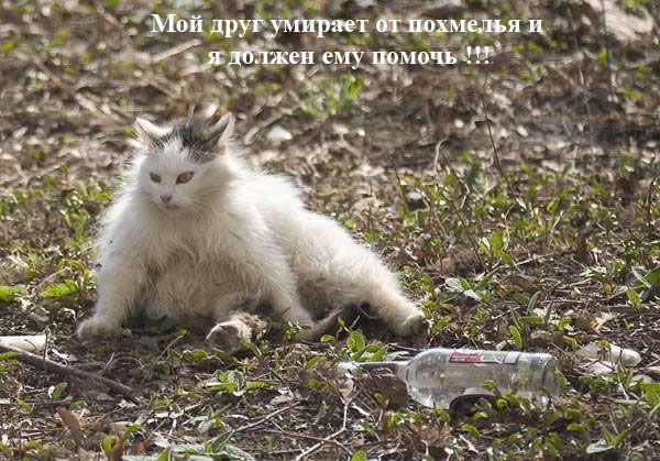 Комикс про пятницу