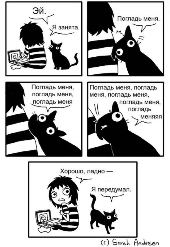 Забавные комиксы с котами