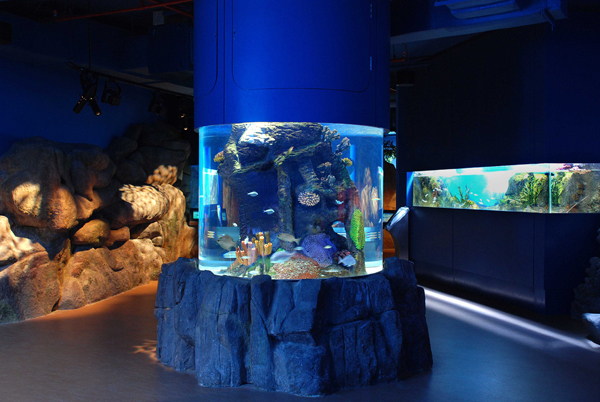 Шарджанский аквариум Sharjah Aquarium