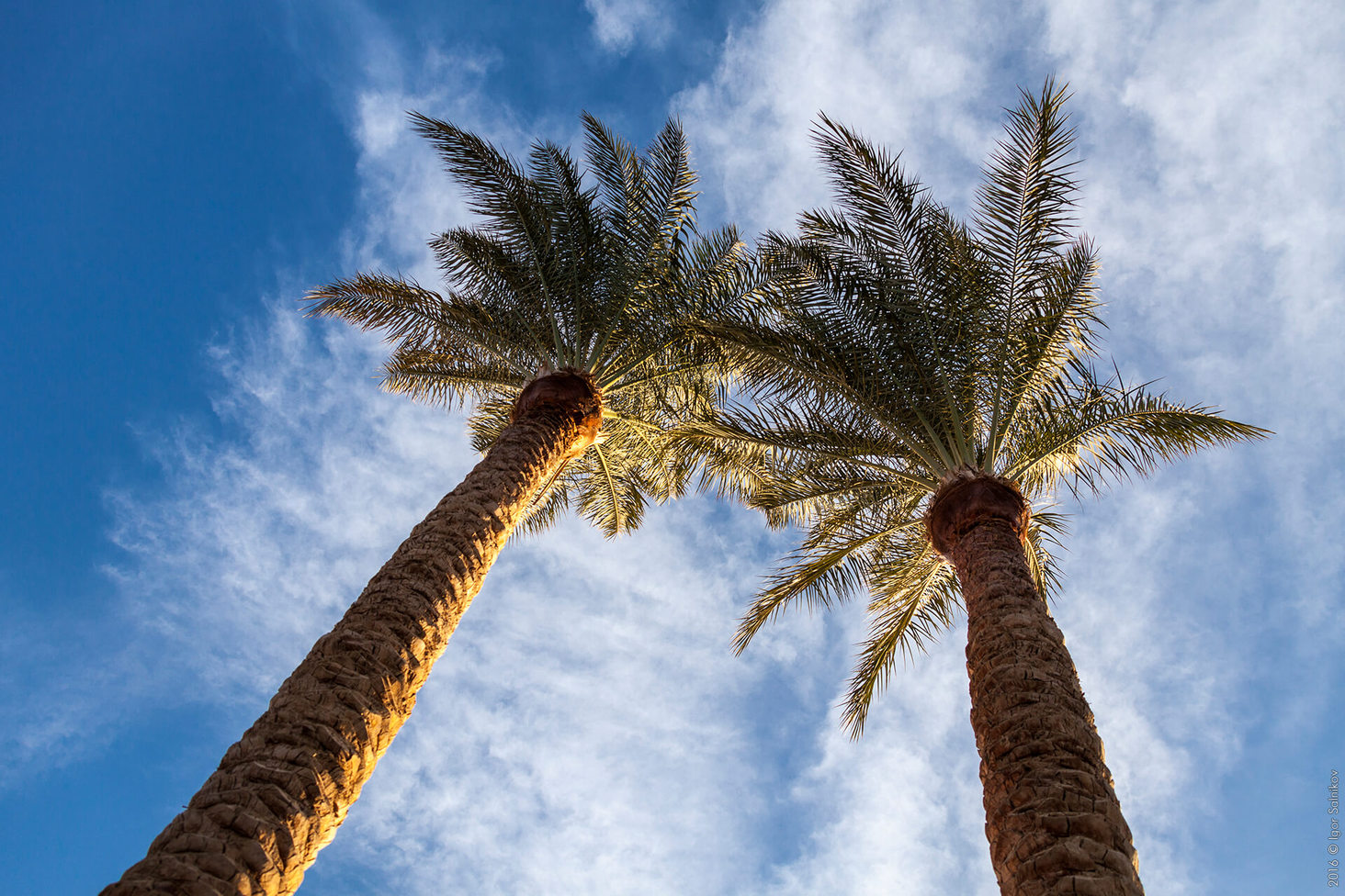 Египет, отель Jaz Makadina