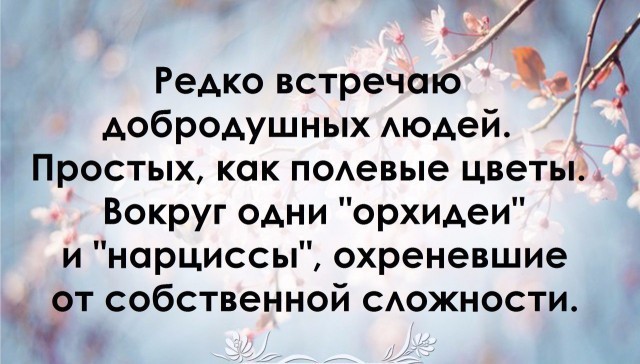 Прикольная подборка с текстом