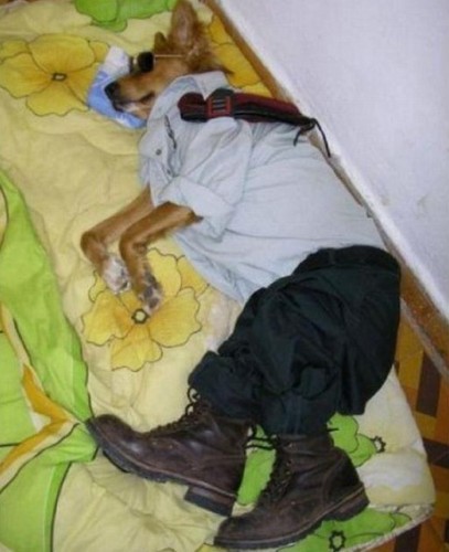 Жизненные фотоприколы
